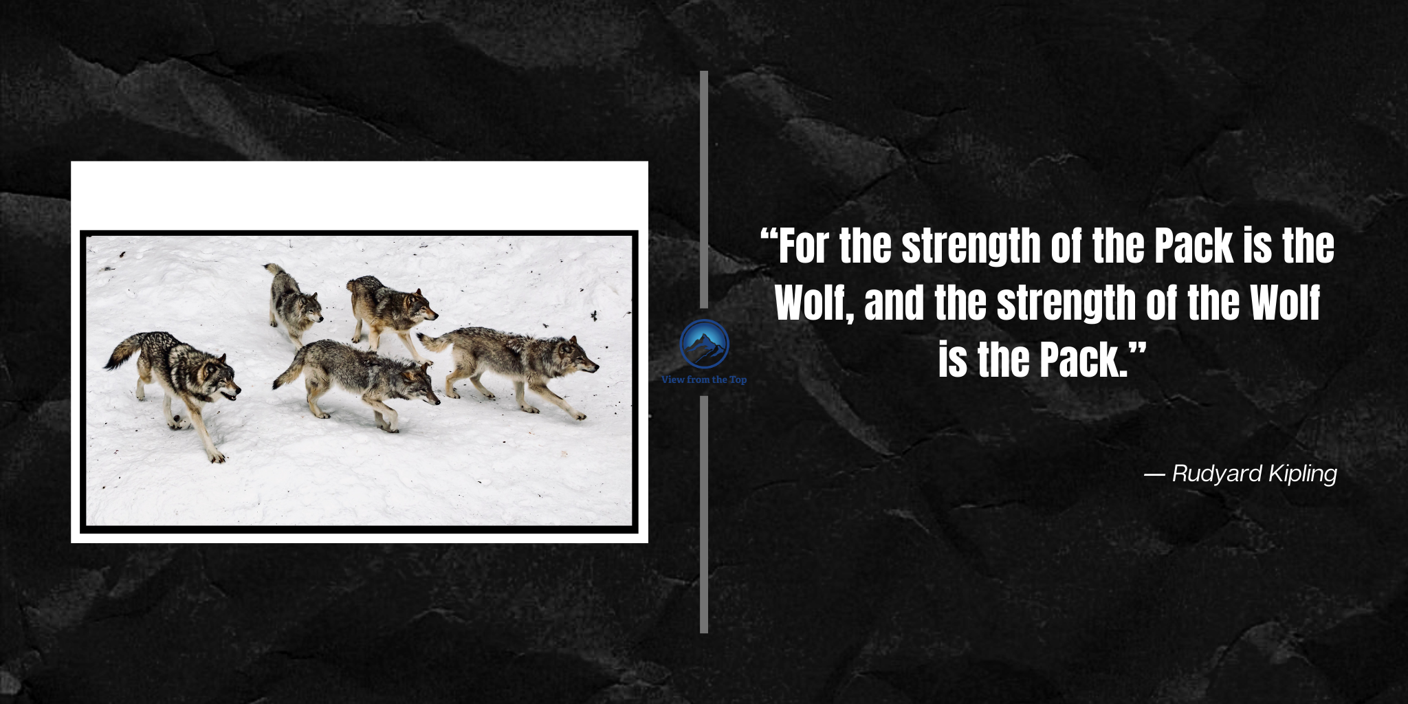 “For the strength of the Pack is the Wolf, and the strength of the Wolf is the Pack.”