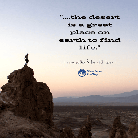 the desert is a great place on earth to find life.